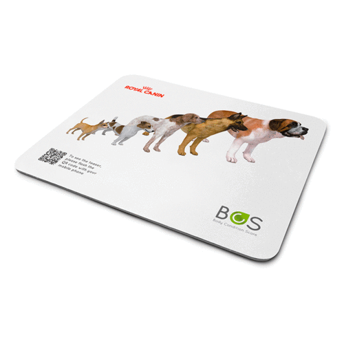 Lenticular mouse pads